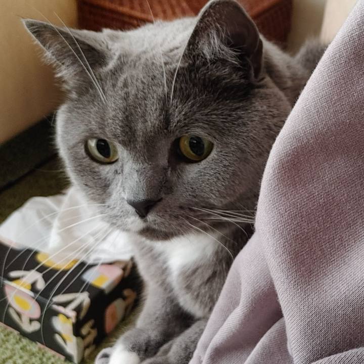 D0d8ad69 66e5 407a 8551 9bb8c3aa0719 1673751664788