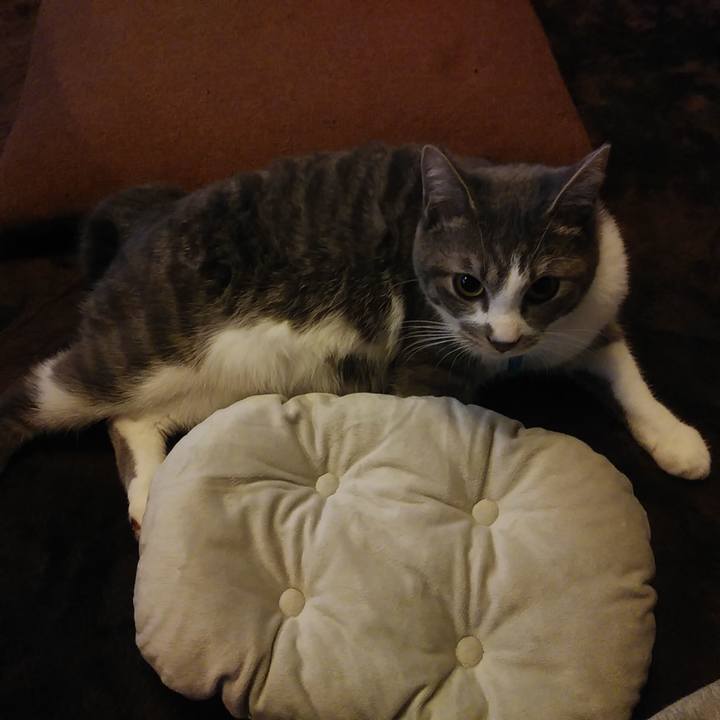 D0d8adba 8329 4e07 a9c9 66c05e55c5d8 1581918960328