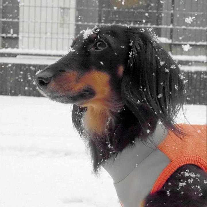 D0d8b8bc 781d 4b24 aea8 c35f62b2b00e 1546052163529