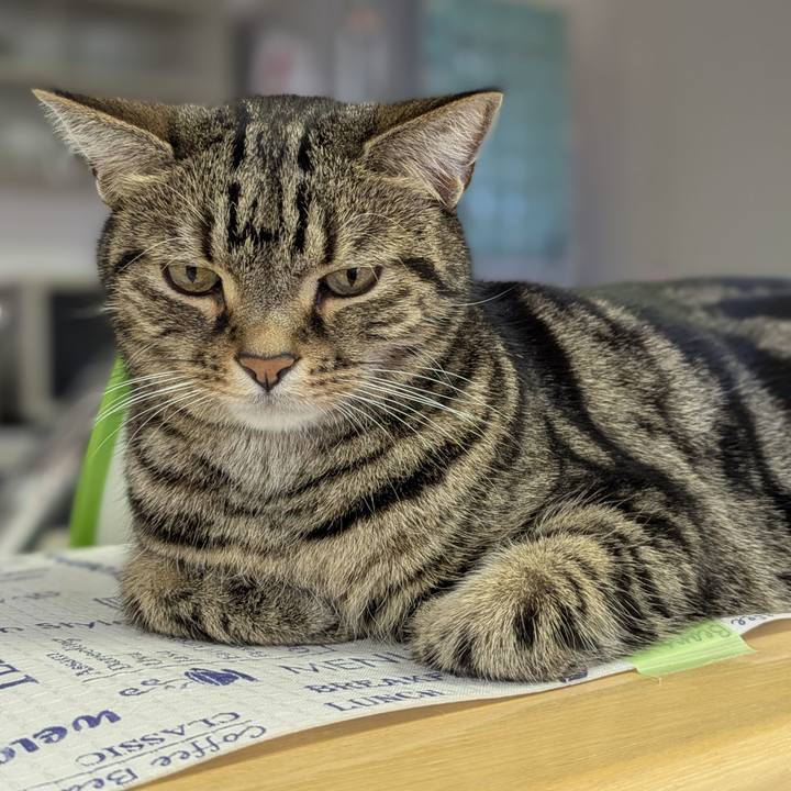 D0d8bb7f 93cc 4c2c a894 b82ca196c95f 1734266707063