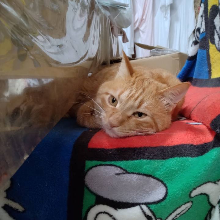 D0d8c313 dde8 40ad abfb 6825cdb01b04 1673133649011