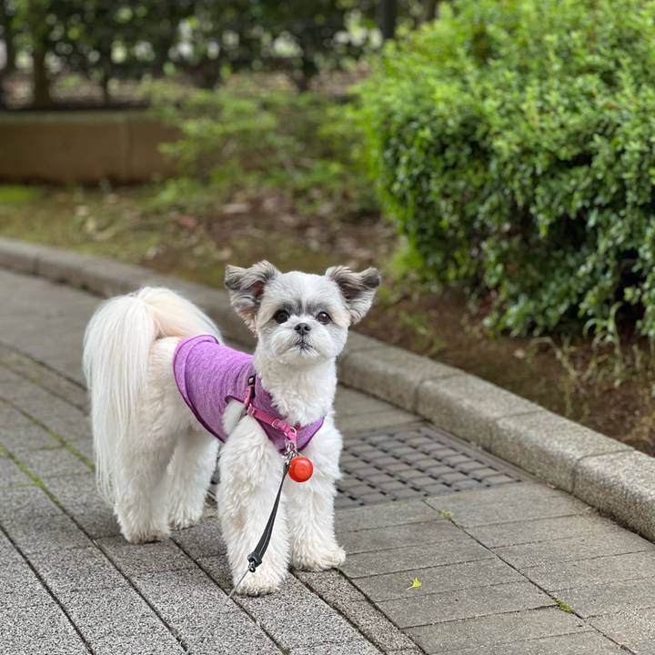 D0d8e24c e165 4d13 b321 d5dbd24aac43 1655529366181