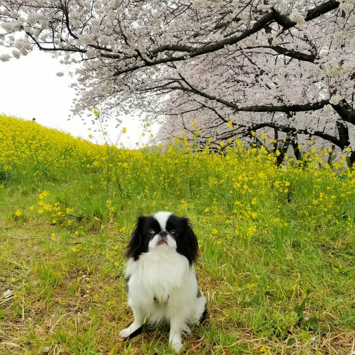 D0d8e5c2 0ff5 42de b231 0c85c341d6c0 1648788426949