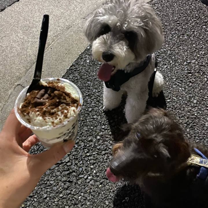 D0d9060d 55ce 4bc2 b726 5296048bce6e 1629822166944