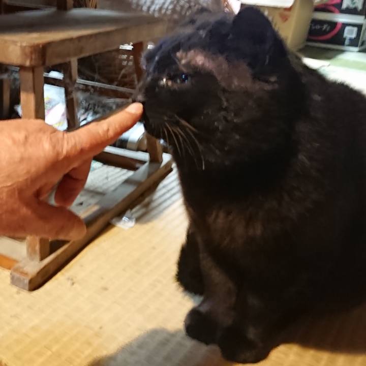 D0d914be 0b63 4e6c 9193 1174fe1d48e2 1617099421669