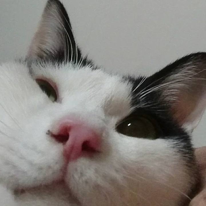 D0d91d0b 471f 49fa 9781 30ad6041845c 1592050911480