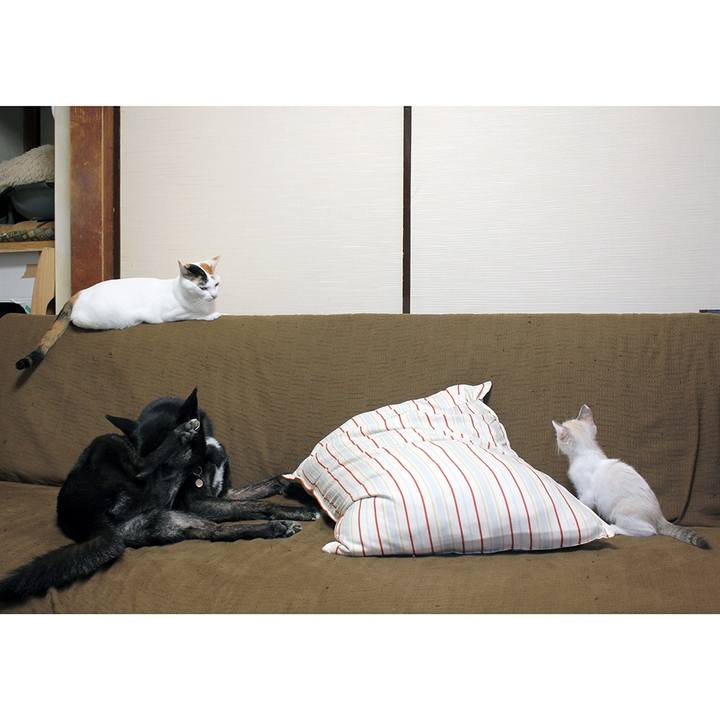 D0d91e4a 1cb0 4355 b632 12c20381fea7 1599517850491