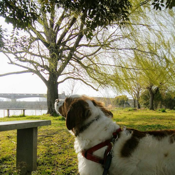 D0d9214e 9b51 47a1 8609 52d1857d90da 1552808679914