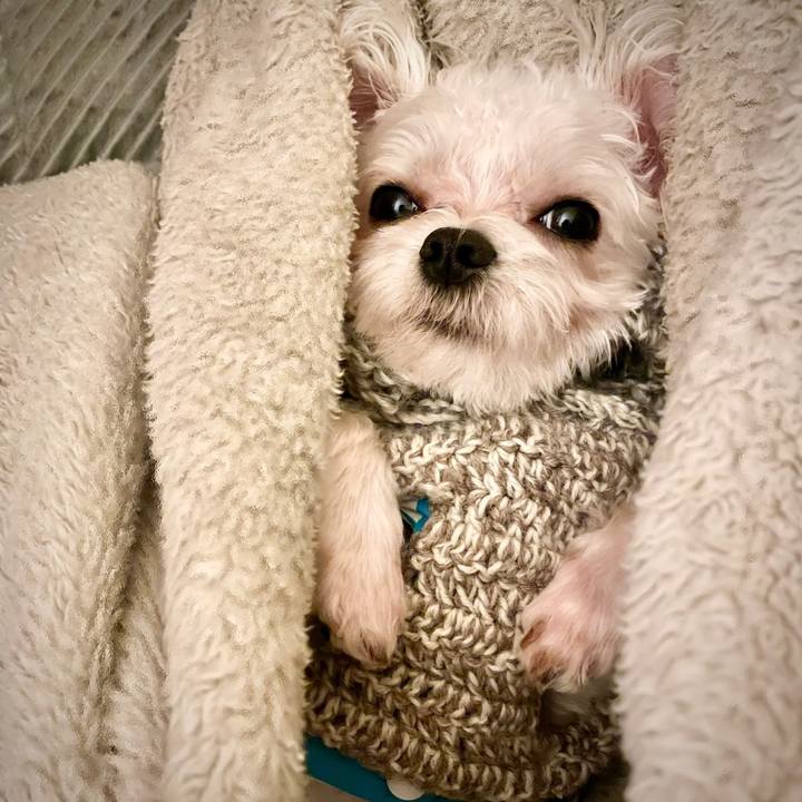 D0d93d18 47fe 4407 b476 47188c1fd23a 1645673502302