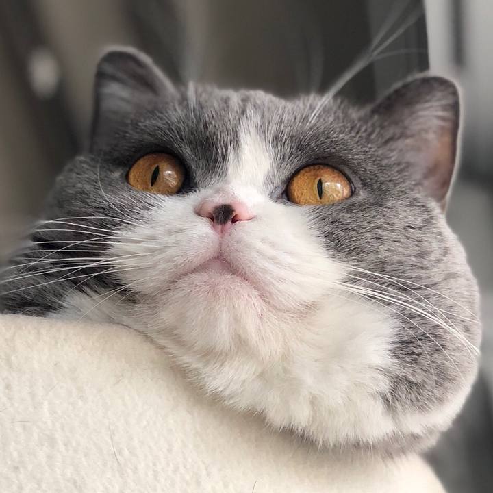 D0d955c5 90cd 4380 bfad 5fed14a7de26 1516417097941