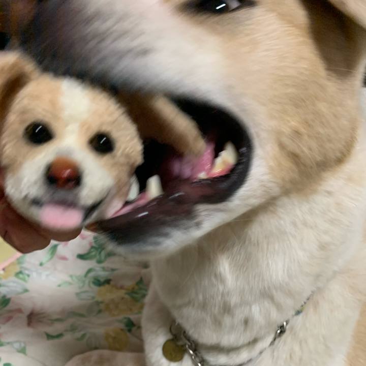 D0d95dd4 7712 43bc 90bb bb1614bcadb2 1572607007354