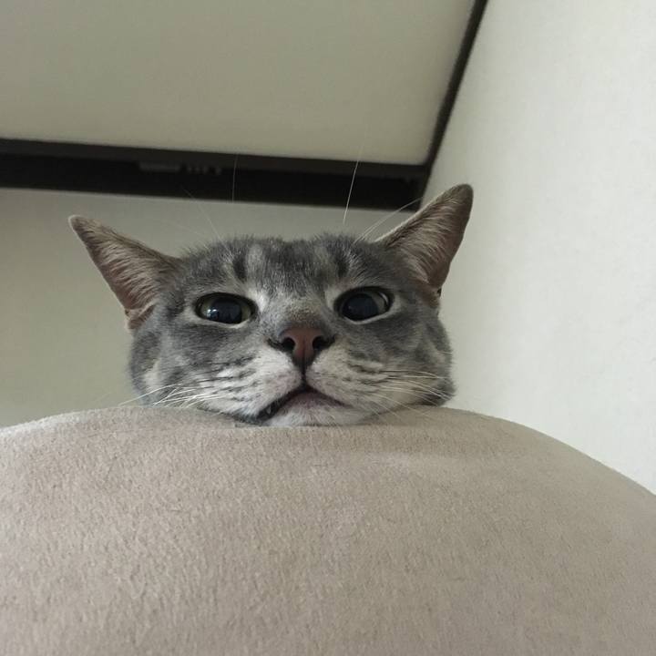 D0d9673e 59f2 4b57 97e2 bd400430da92 1640763703858