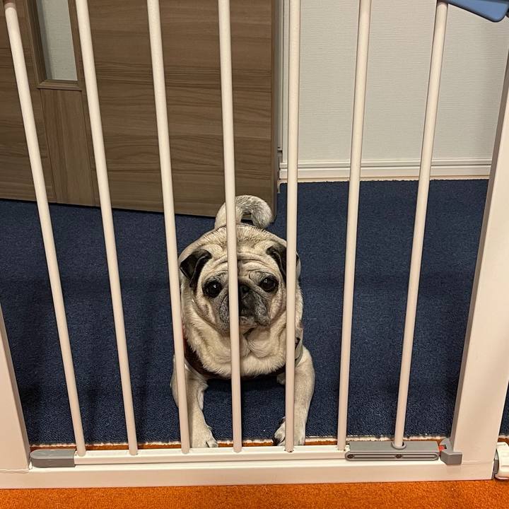 D0d97852 c76b 4732 a0d0 2629baccf255 1772624598219