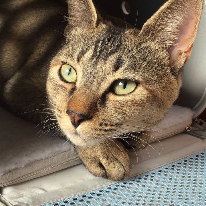 D0d998f6 e7eb 4557 8fa8 0f8133422e20 1578975748774