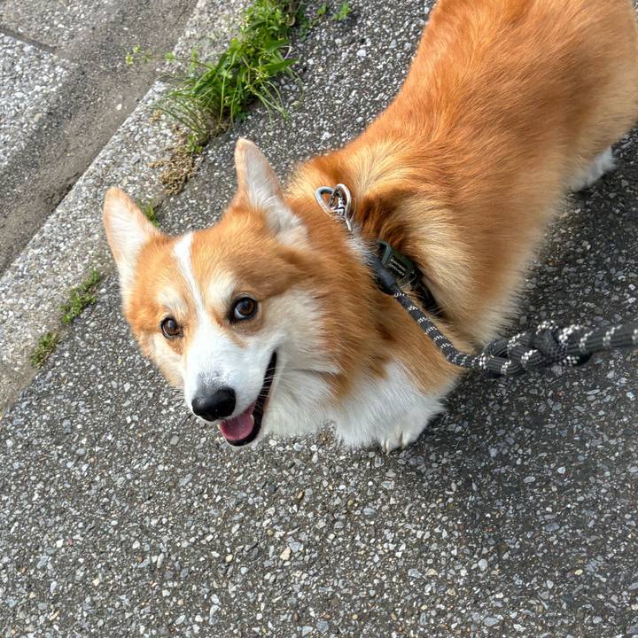 D0d9a913 7b0b 4747 8386 77d27e16a01b 1776049156065