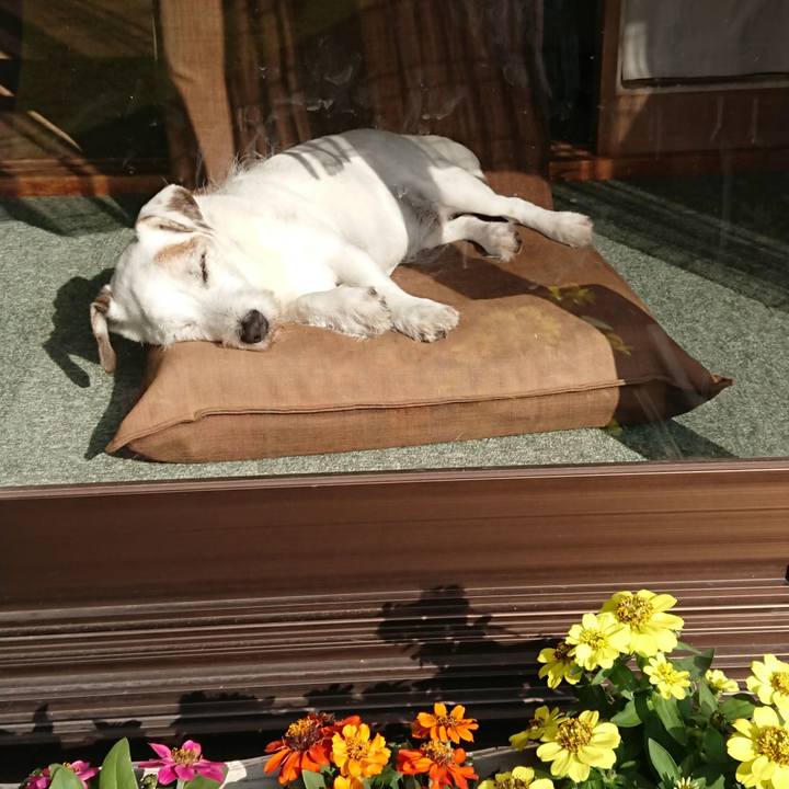 D0d9aeb0 68eb 4bcc 9e3b 15e1c4919221 1572909390534