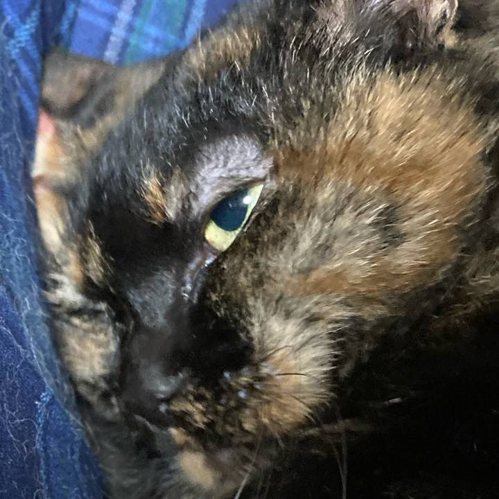 D0d9b25c 0eca 4565 9d36 28aca5cb460c 1639522452192