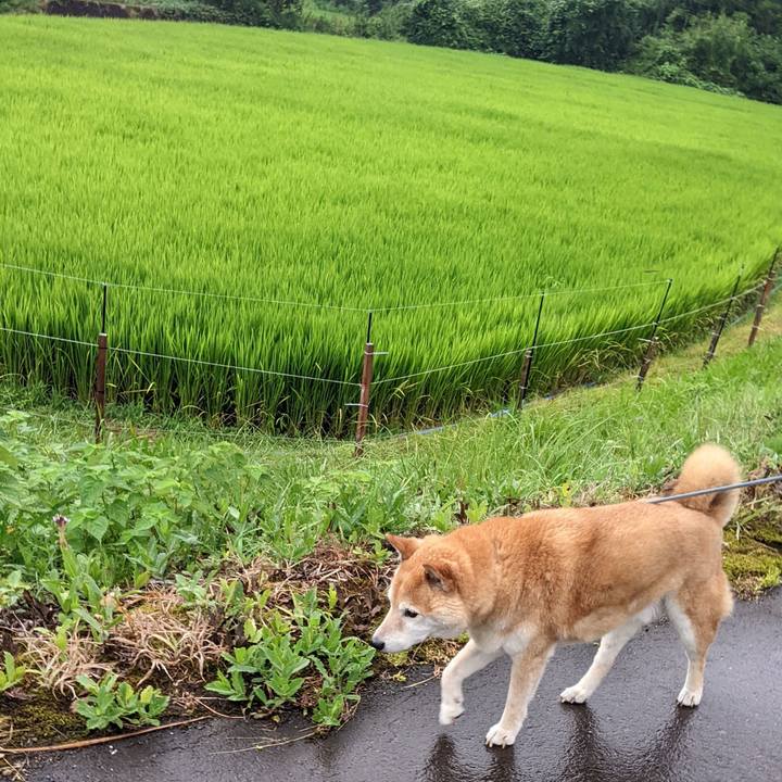 D0d9d6e1 34f0 448b 9f89 bc16b2b46df3 1754860109957