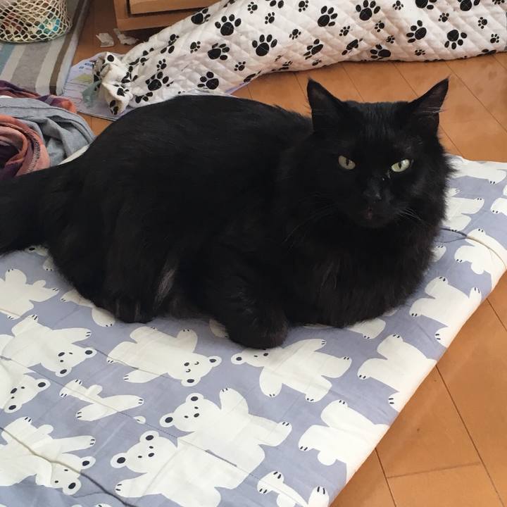 D0d9e5f9 b976 4329 8acf 01c3f95a1ad2 1519345698146