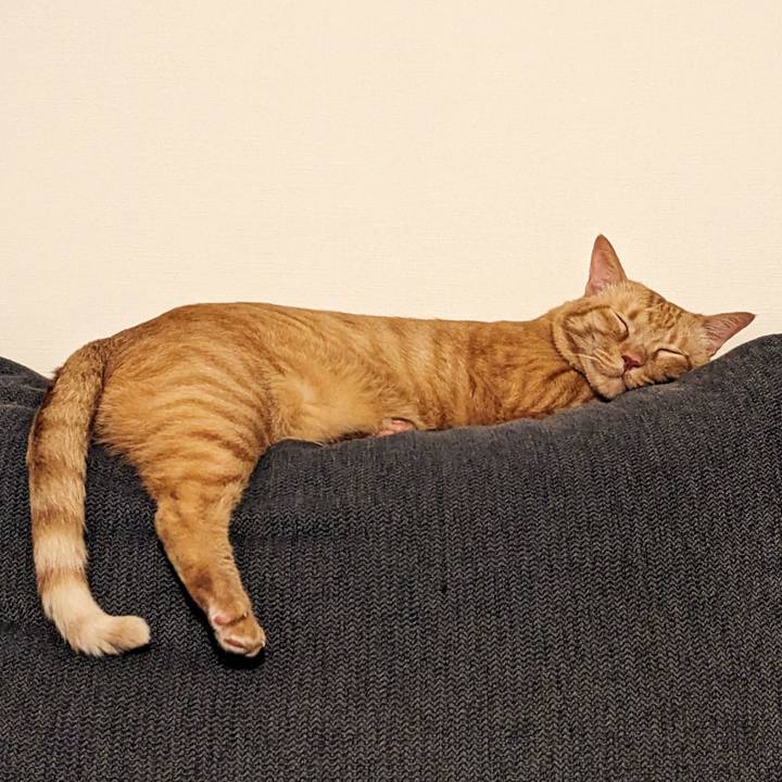 D0d9f142 4d36 4715 bbbe 3fc06bfb14b7 1687056265025