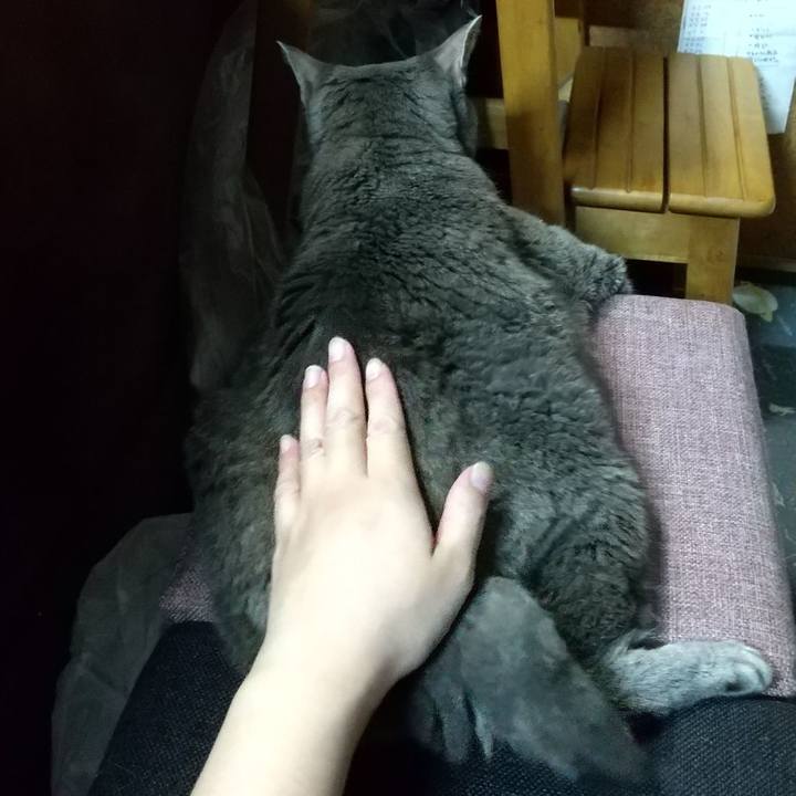 D0d9fd71 6867 418d 8c2b 65ba8f3ee653 1663842627343