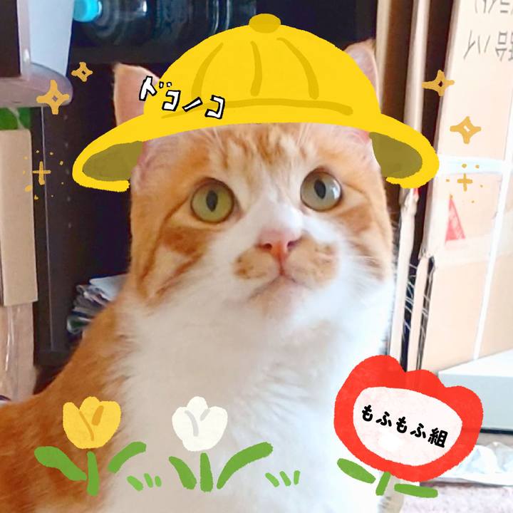 D0d9fdbe d0b7 4d35 9672 c80dcce6eee5 1712205701086