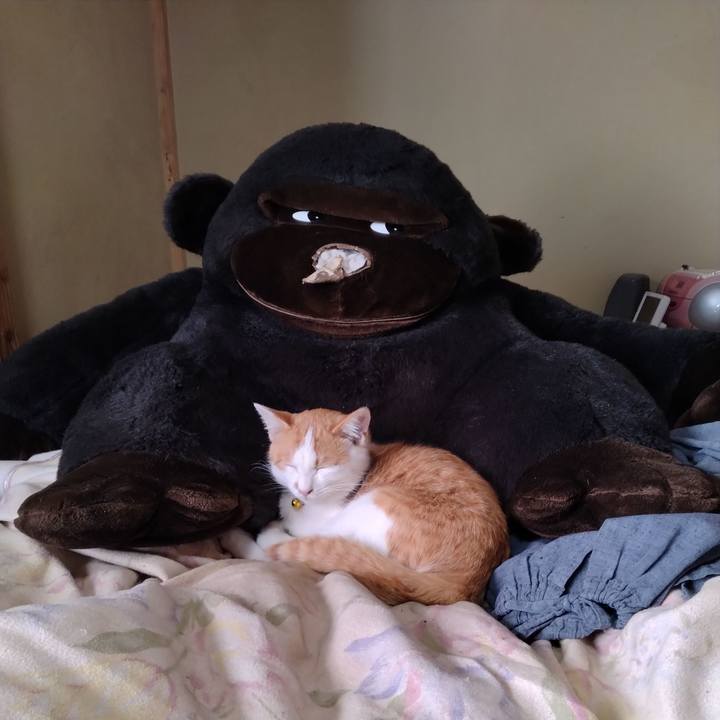 D0da08d7 0bbe 4dd1 8e6c 28d86c79c500 1735439525983