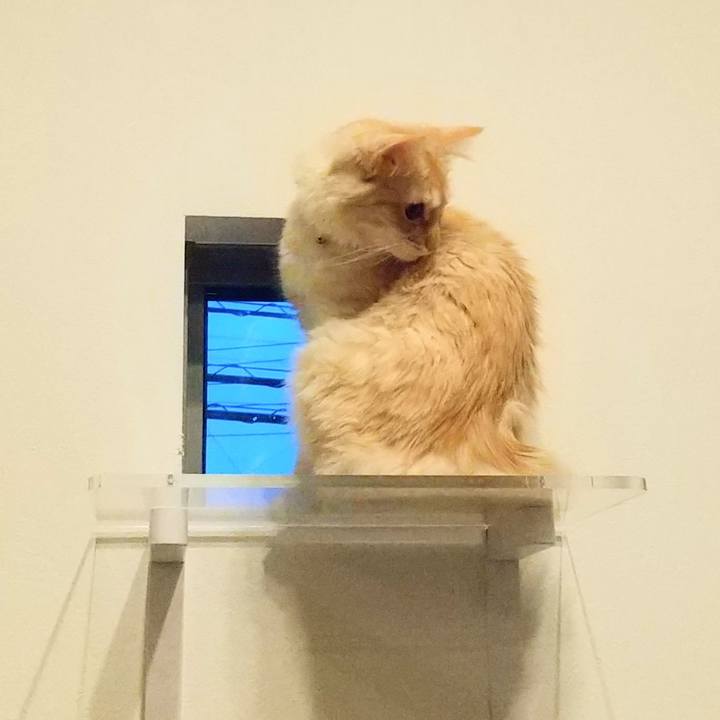 D0da0d29 09f6 4b8c a535 015b466c0c33 1615626871101