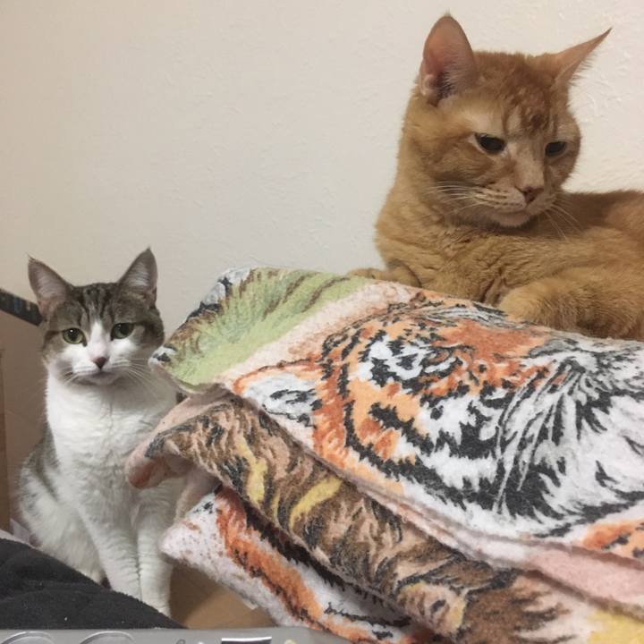 D0da1428 80a8 4934 bccb 2c4a402c150a 1636425388700