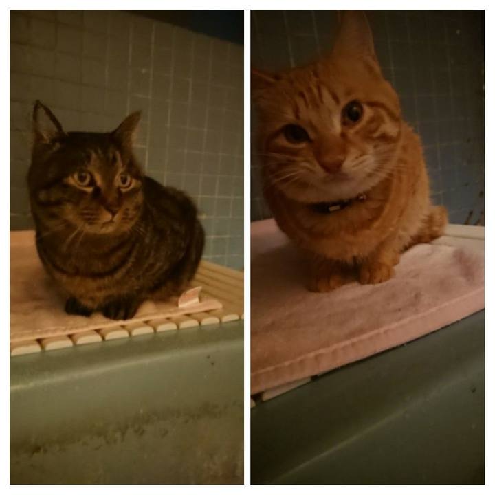 D0da19f8 2097 4aee 936d 9c55018b98c7 1643536662623