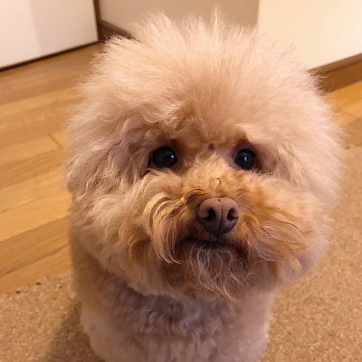 D0da9671 cf3b 479c 9f83 92d852a01121 1550746767648