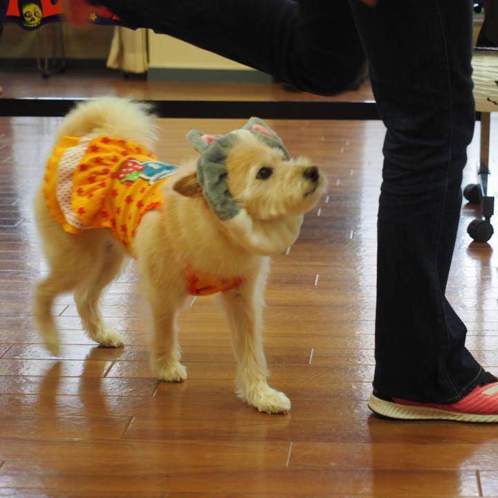 D0db1c4b d5c0 4224 b7bf c415a0ca96cc 1539348215253