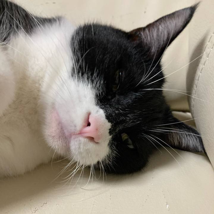 D0db32ed aa3a 4a97 b1e6 0119a8f17a31 1662305162411