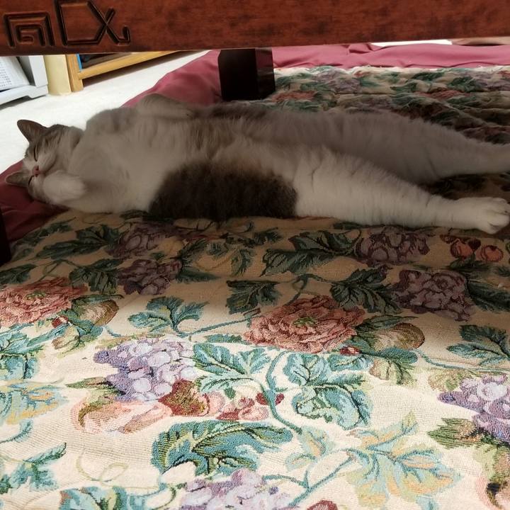 D0db39d8 8de8 4f64 a745 3e3580a1efdd 1566740520753