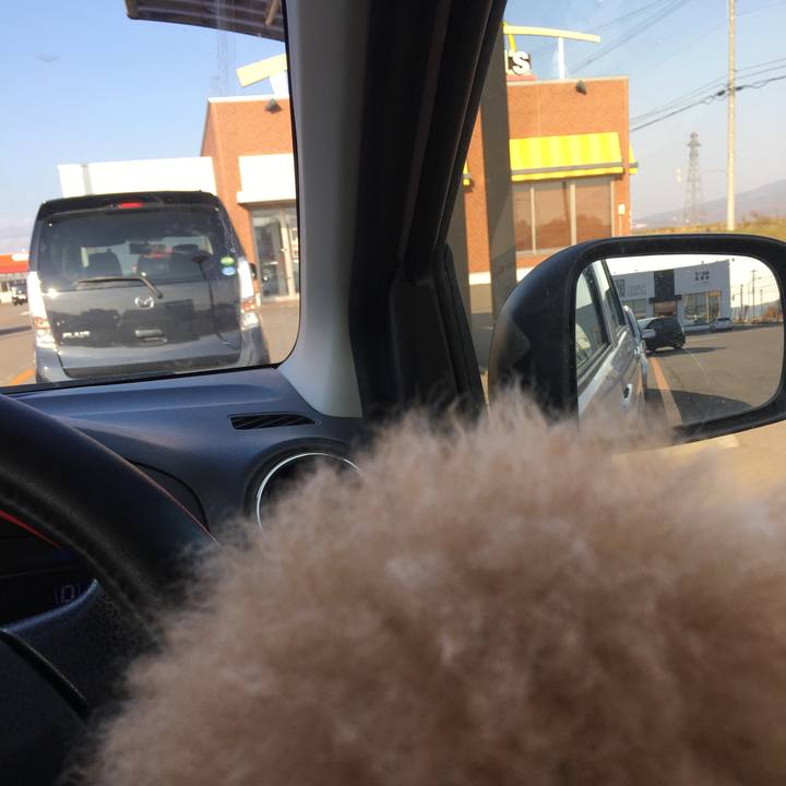 D0db3e61 7ba6 48a9 bbf1 0b9070896788 1540564633979