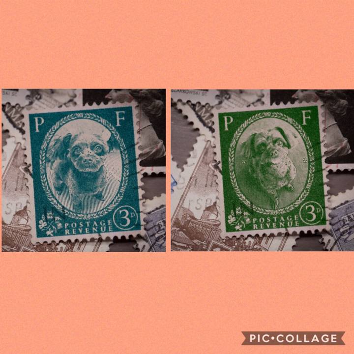 D0db5e83 24ec 4424 a1d3 da7ba049ddee 1569938268458