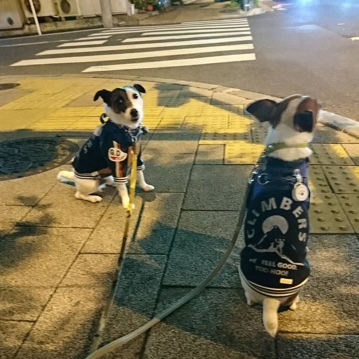 D0db7db7 f7d1 47f4 a078 69e3ce5e35b0 1577189450715