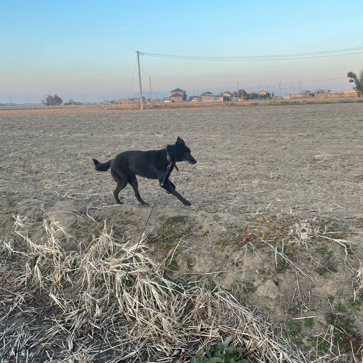 D0db821f 30d6 4231 88ba 52d22b48a52f 1707032649007