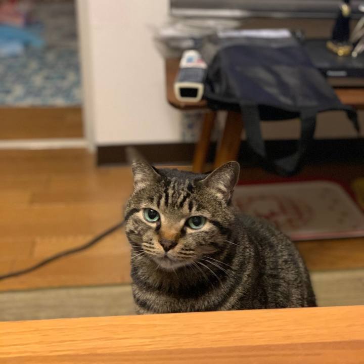 D0dbac0f 90d6 47c3 9bb1 8e5aabb7bc02 1573951237934