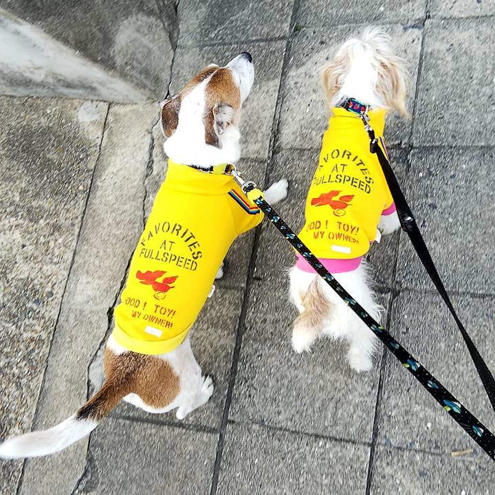 D0dbae00 01ec 4470 a904 8fc1bbefbf5a 1551533099643