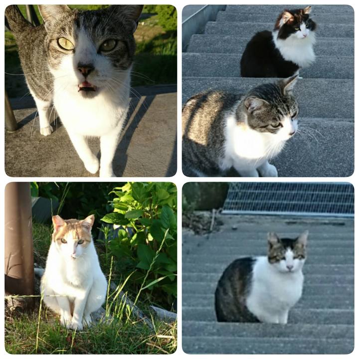 D0dbc1d7 ecd4 4243 97a7 3bbaf096e8d7 1558440619284