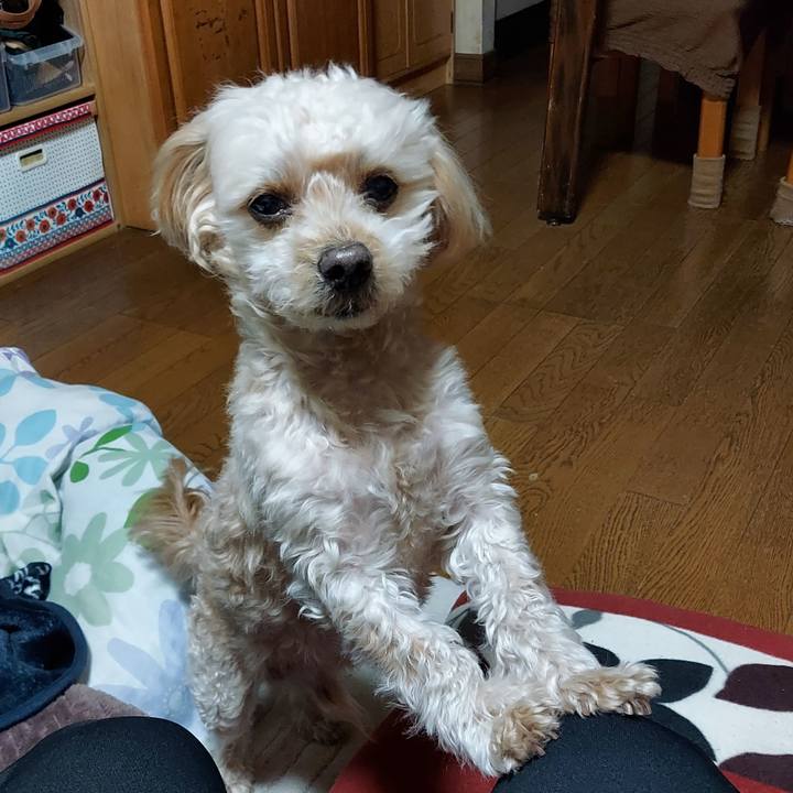 D0dbccba 9c60 4a67 a9b8 d69db6e12ab0 1672134675025