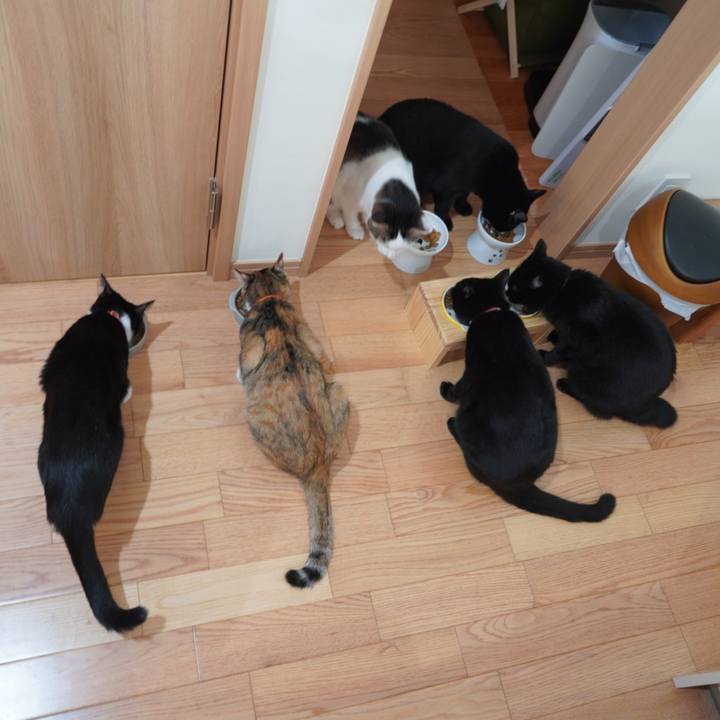 D0dbdfc0 7b31 4215 a5c8 acbfc8b65e2c 1598501140628