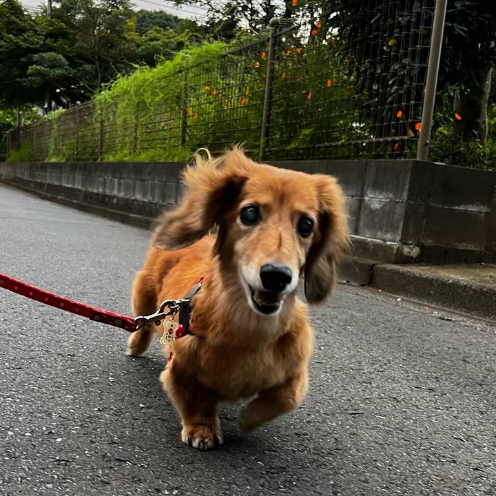 D0dbea42 c57d 45be ab28 a8727ae48c8d 1661682931948