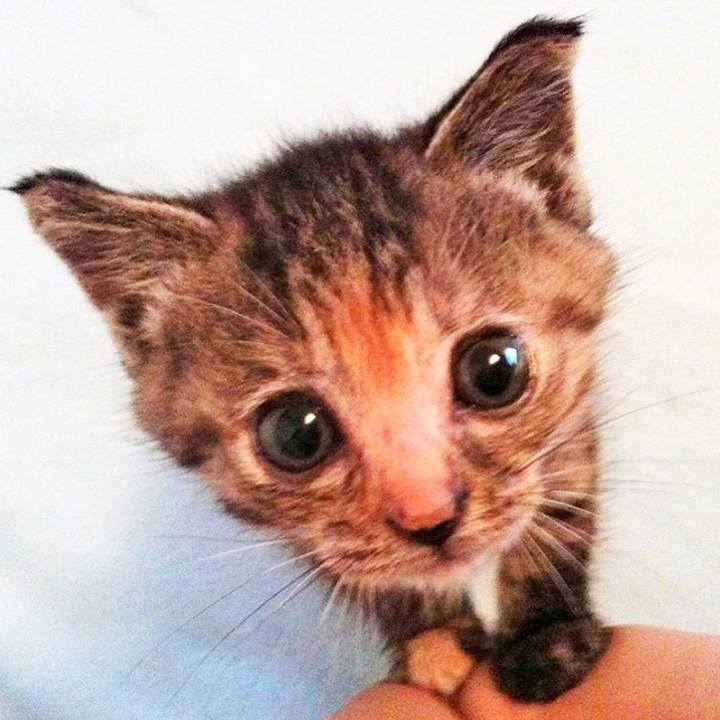 D0dc273c 64ac 4aff 9afe 76ef83538580 1560036153688