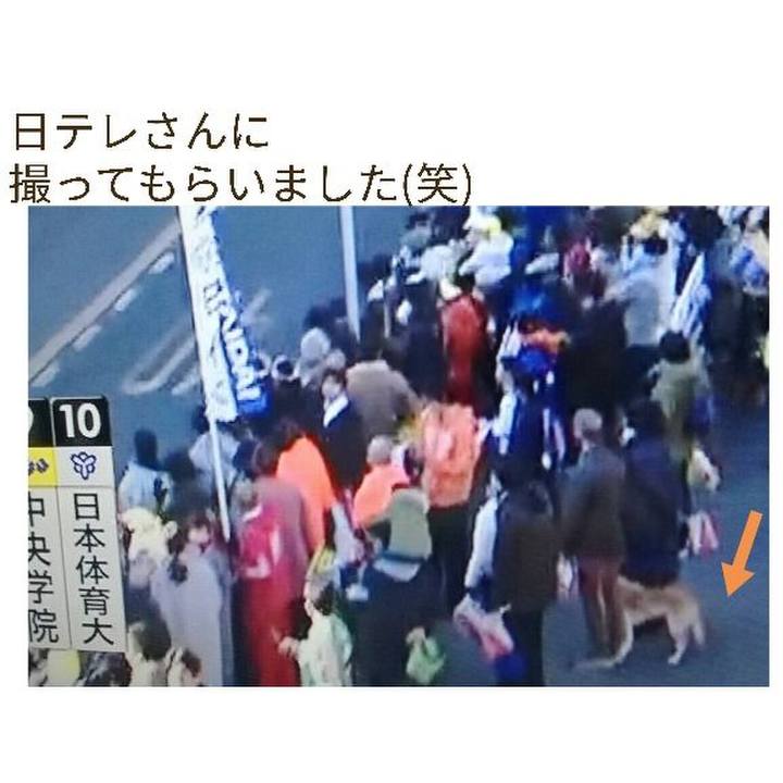 D0dc2b1f 360f 4e70 aea0 cae4455fb399 1514967996775