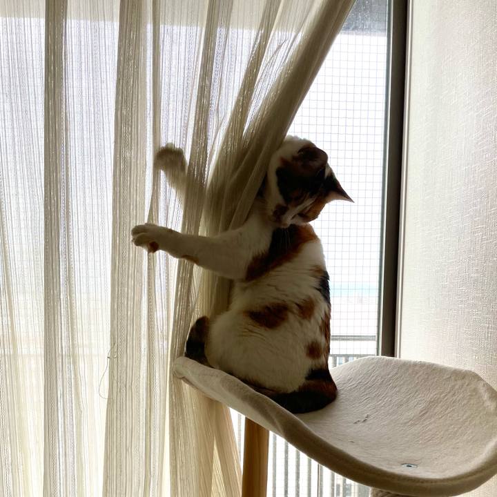 D0dc3f0a 344e 4541 875c ef5c7091f6e3 1643934881860