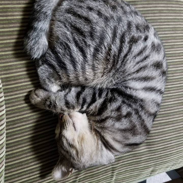 D0dc43b3 84e3 415b a864 85f6856b3d52 1673315791430