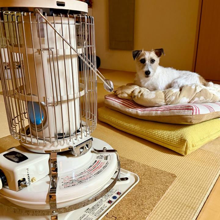 D0dc6455 038e 42af 8af3 893b3c3e990c 1766227774270