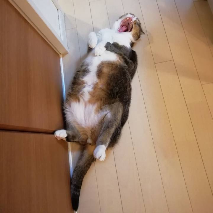 D0dcba4b dde4 4469 b0f8 b50104ced0d7 1559223702871